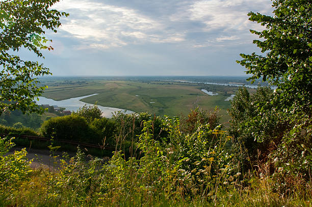 Obrazek